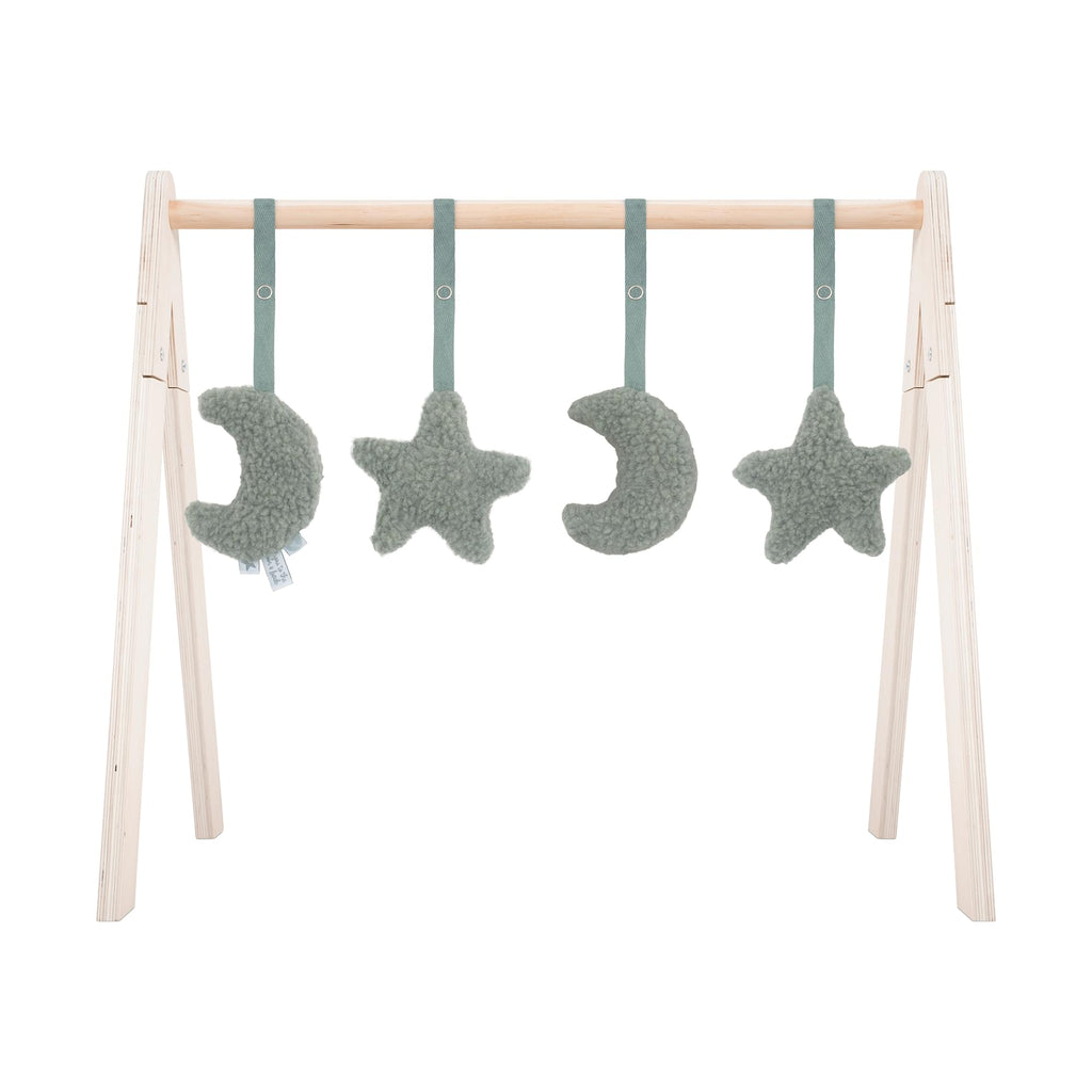 Παιχνίδια γυμναστηρίου Moon Ash Green(4pcs)