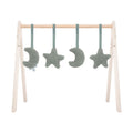 Παιχνίδια γυμναστηρίου Moon Ash Green(4pcs)
