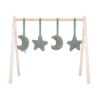 Παιχνίδια γυμναστηρίου Moon Ash Green(4pcs)