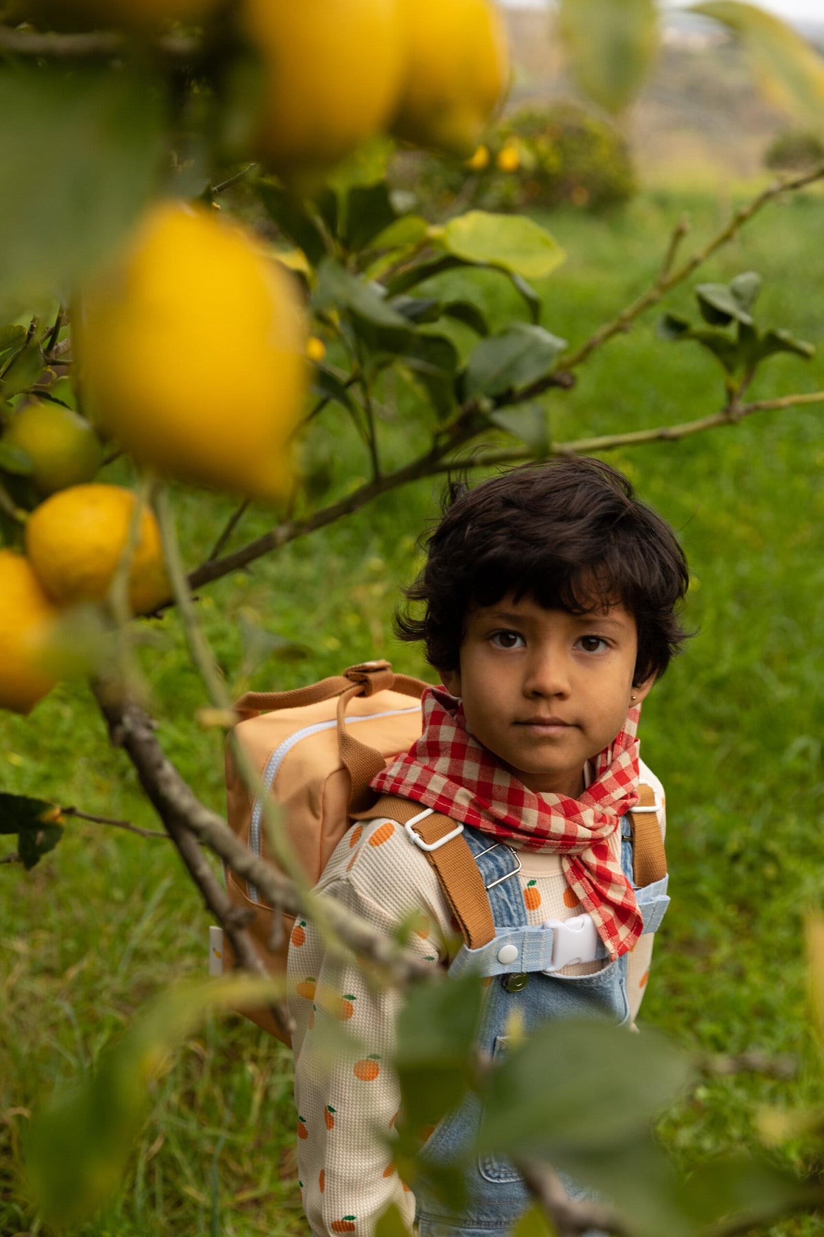 Σακίδιο Πλάτης Sticky Lemon Farmhouse Pear Jam Small