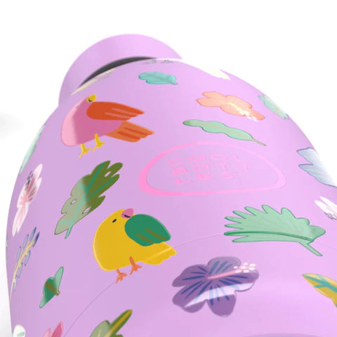 COOL BOTTLES Ανοξείδωτο παιδικό μπουκάλι Fly Free 500ml