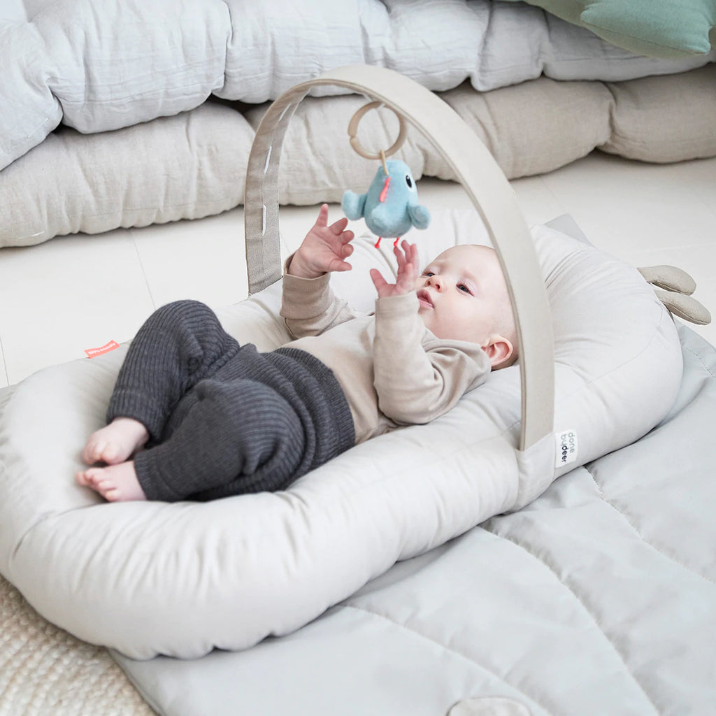 Βρεφική φωλιά δραστηριοτήτων Raffi Powder 0-6 month Done By Deer