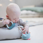 Βρεφική φωλιά δραστηριοτήτων Raffi Powder 0-6 month Done By Deer