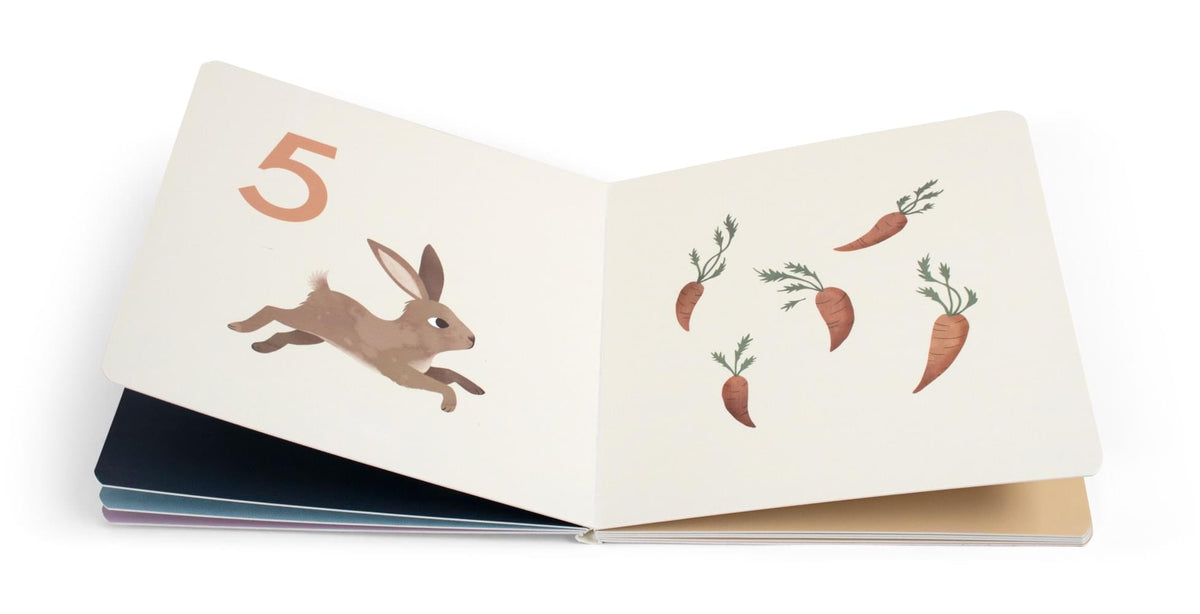 Baby book Filibabba Count to Ten