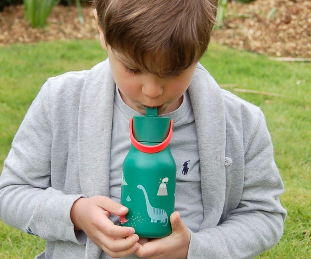 Little Lund Water Bottle 400ml Dino