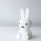 Φωτιστικό νυκτός Miffy Mr Maria